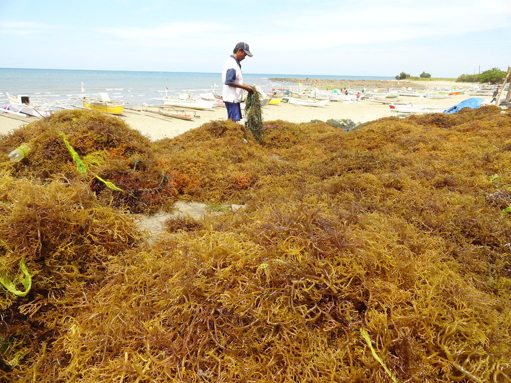 15159276755_27ec6f645f_b